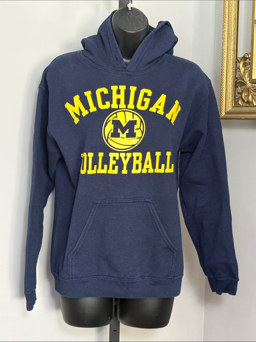 UofM Volleyball Small Hoodie Sweatshirt Wolverines University of Michigan